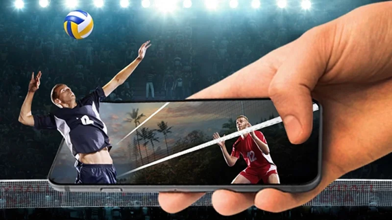 Chơi cá độ bóng chuyền theo điểm chuẩn xác